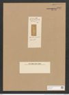 Achnanthes curvata L.-F. (de-Toni-Nr.: Genus 43, Species 1971) Zeichnungen Sammlung Grunow Nr. 3892 (NHMW-BOT-W0371612)